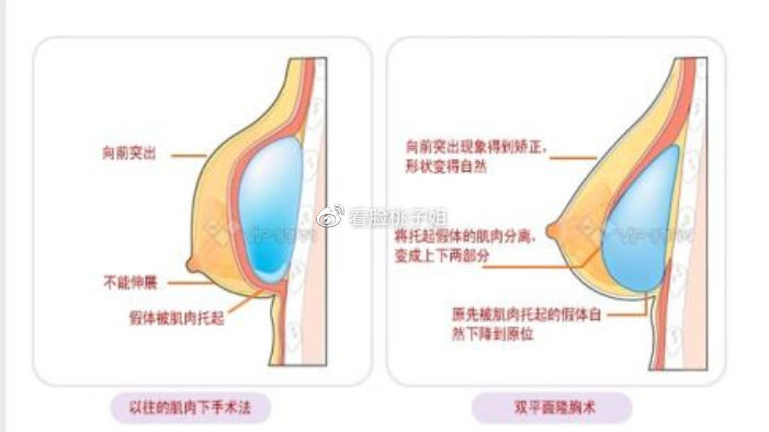 牙齿 第298页