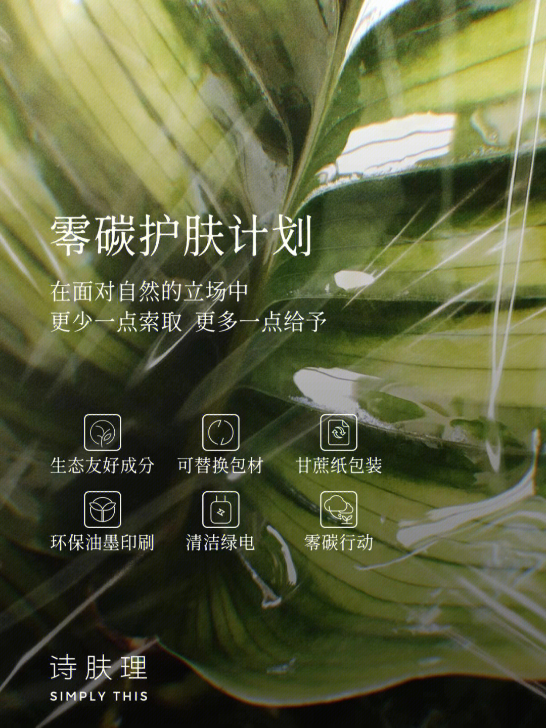 秋雨迟 第168页