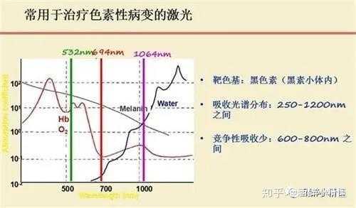 鼻子 第296页