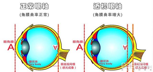 影响因素与选择指南