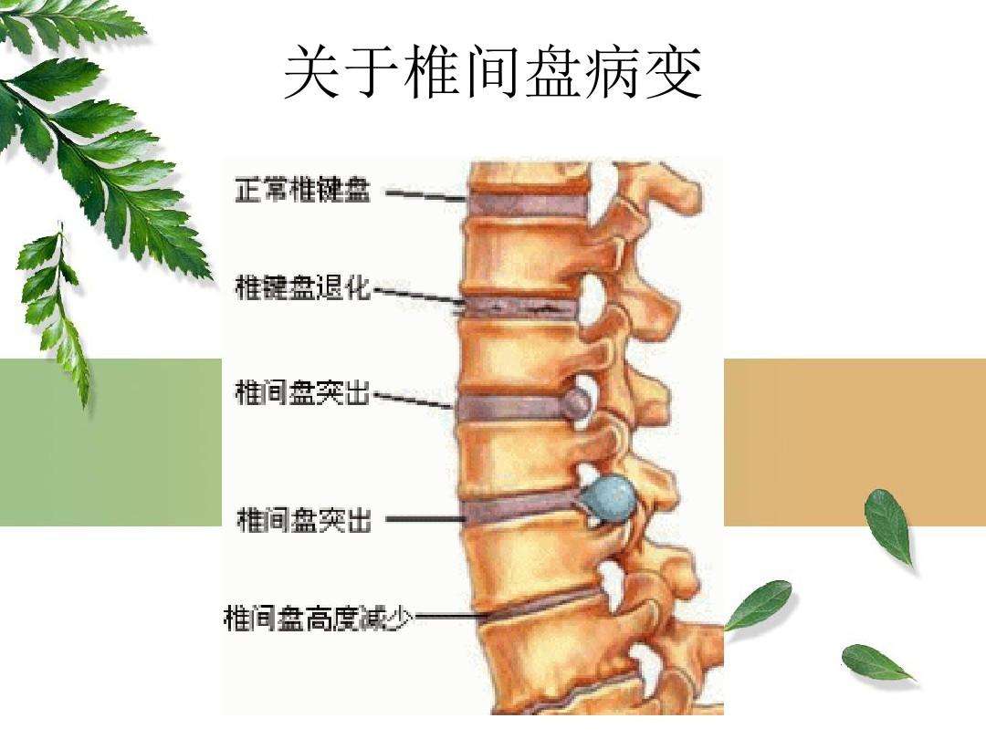 玖卿 第160页