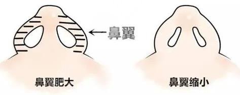 admin 第159页