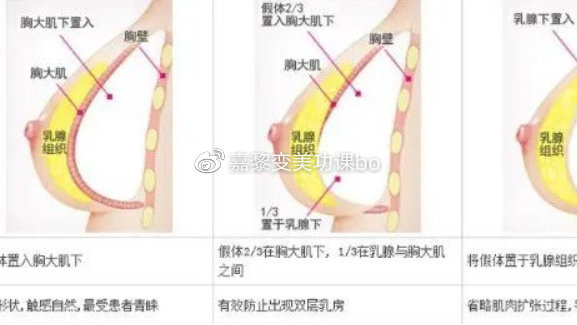 淡意衬优柔 第153页