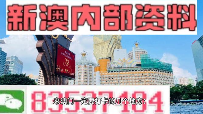 澳门王中王，免费观影新体验的探索与思考