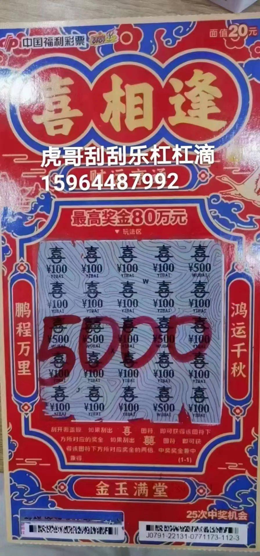 2004年新奥门天天开好彩，澳门彩票的辉煌与变迁