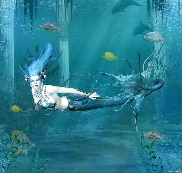 探索神秘海洋，138383美人鱼论坛与美人鱼的传说
