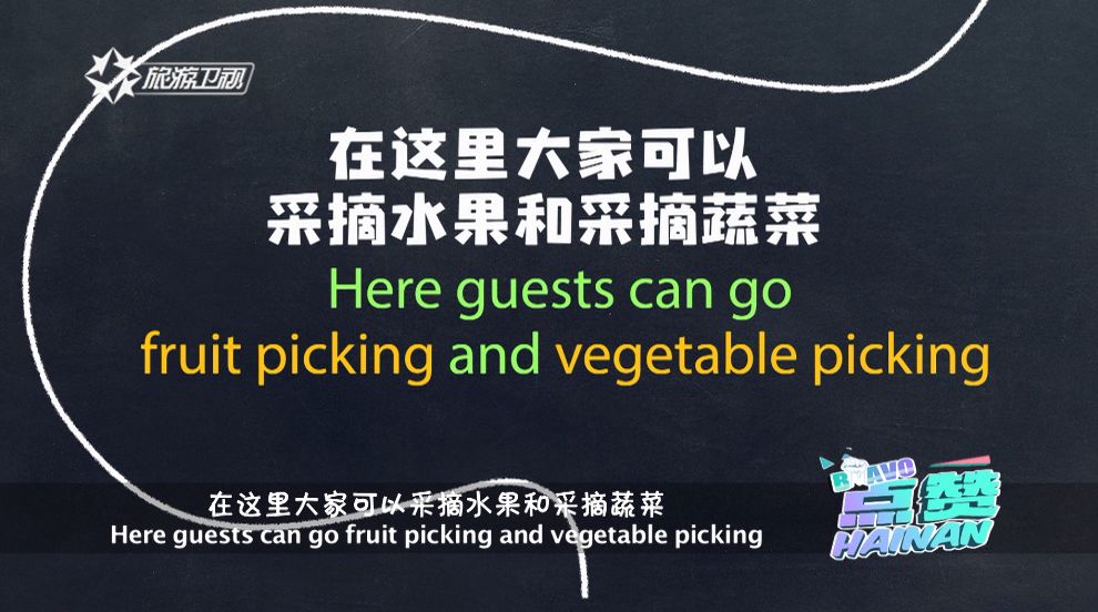 探索新澳好彩，免费资料查询与水果奶奶的奇妙之旅