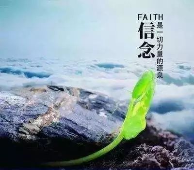 三期必出，持之以恒的信念与策略