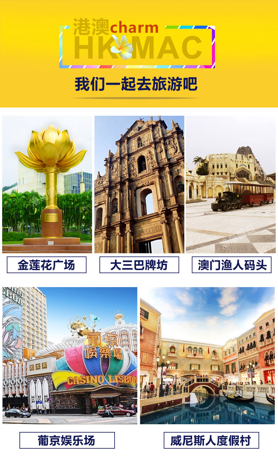 探索新澳门资料大全，揭秘4不像的奥秘