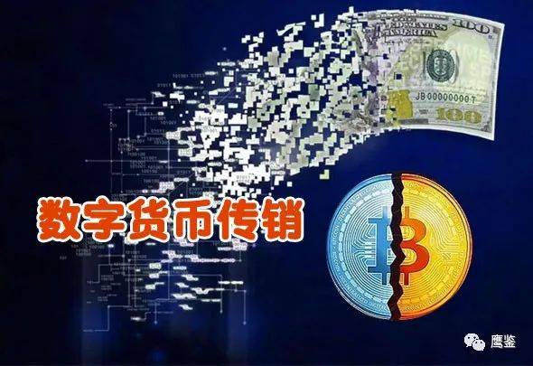 42982金牛网