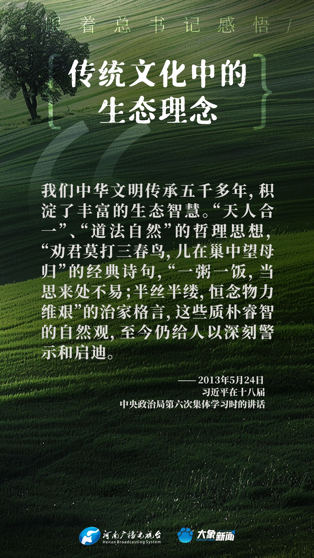 正版四不像吧，版权保护与文化创新的和谐共生