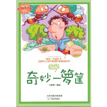 夏至之谜，揭秘特马与生肖的奇妙缘分