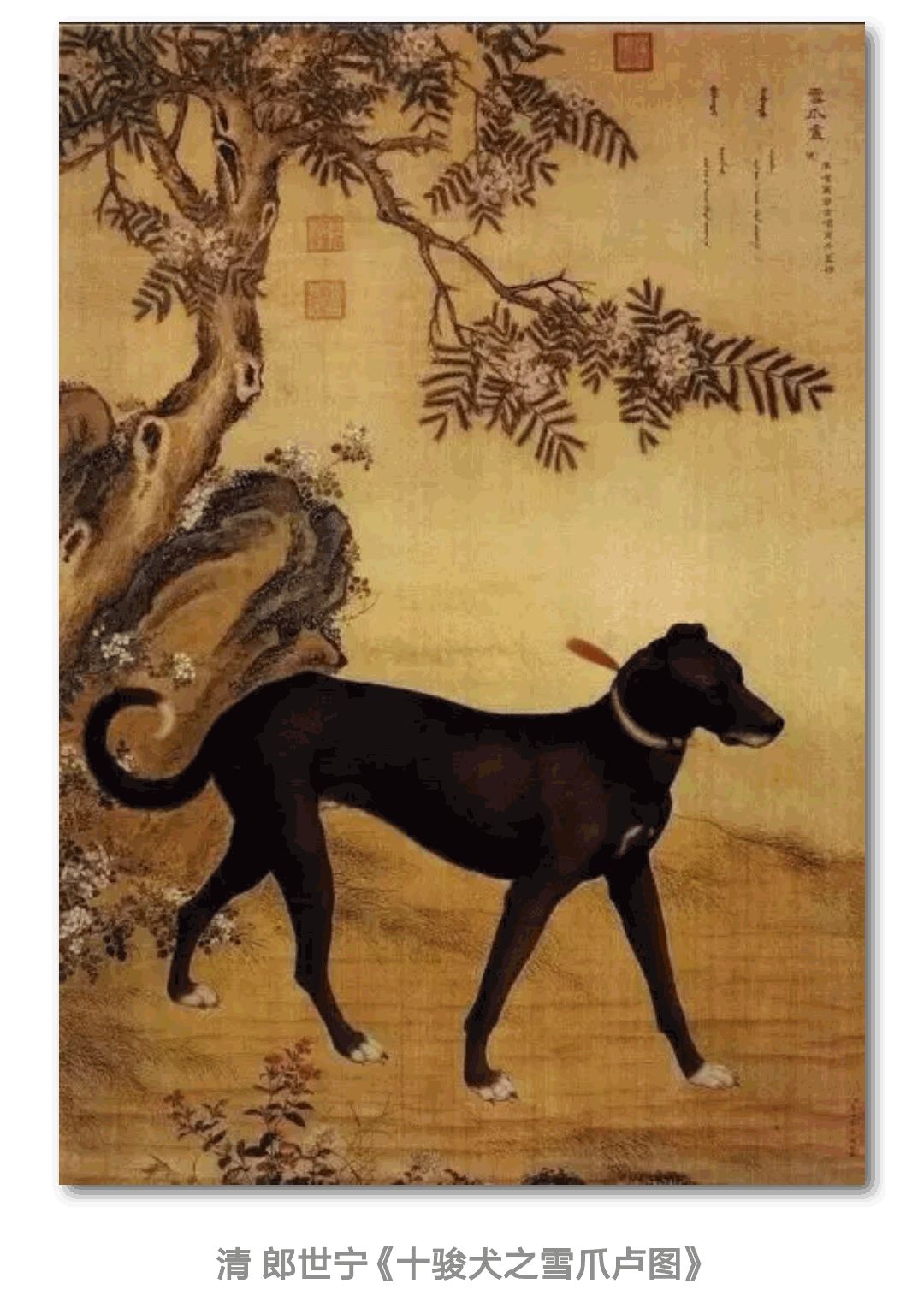玖卿 第146页