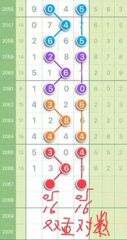 澳门四肖八码期准正版，揭秘与警示澳门四肖八码期期准正版挂牌