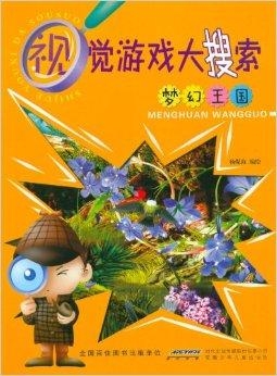 雷州七星彩梦册，探寻梦幻色彩的视觉盛宴