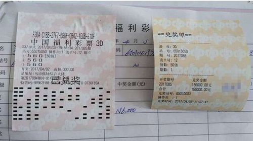 精英彩票心水高手论坛，探索3D彩票的智慧与策略