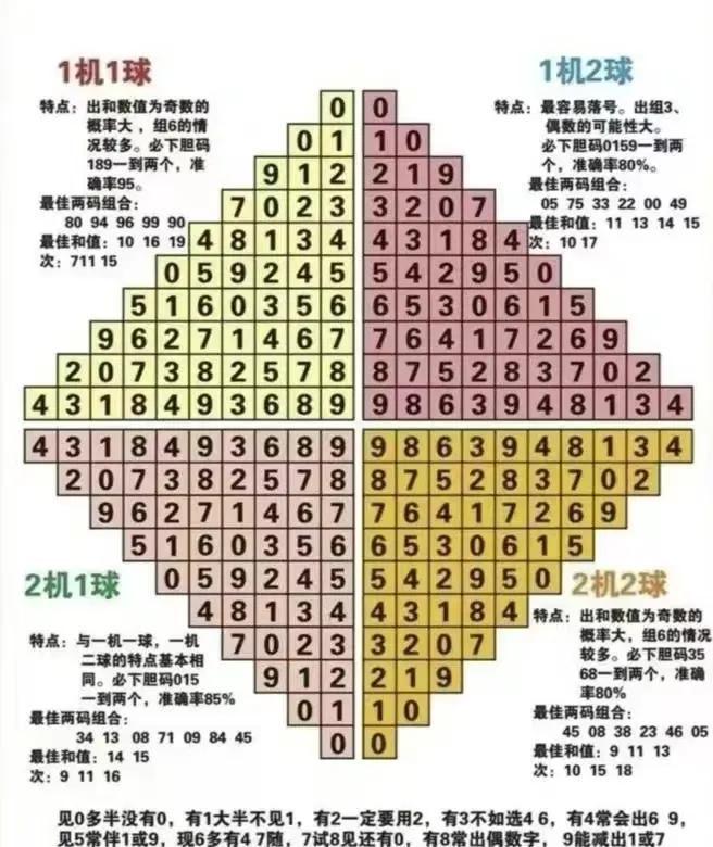 探索小狼狗高手论坛，网络文化的新兴阵地小狼狗高手论坛官网