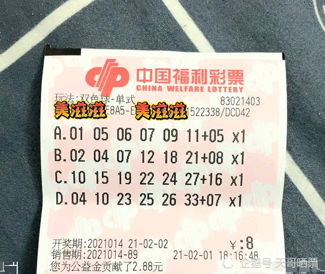 2013151期双色球开奖结果揭晓，幸运的数字与梦想的碰撞