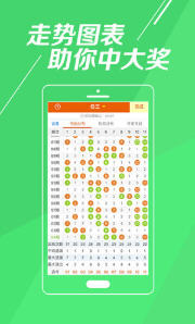 2019年香港开奖记录，回顾与解析香港2019全年开奖记结果
