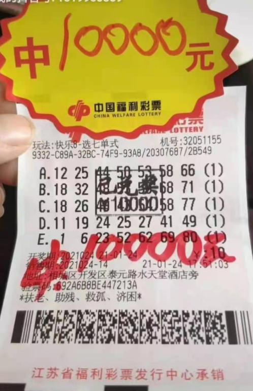 福利彩票查询2021024，揭秘中奖背后的故事与注意事项
