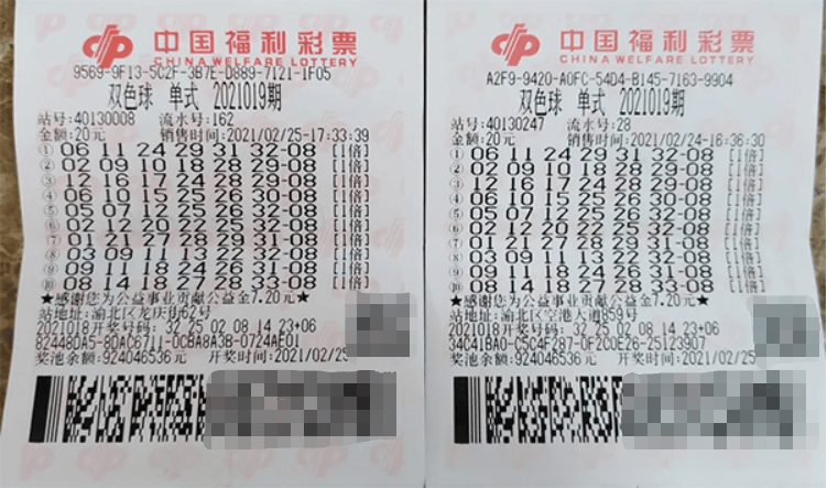 新浪双色球基本走势图，解读彩民的智慧与幸运之门