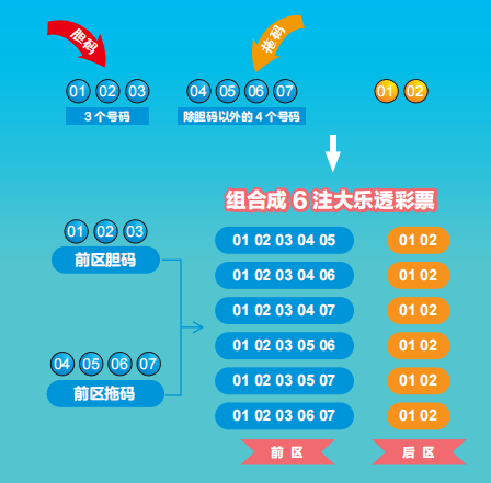 机选大乐逶，数字游戏中的幸运与智慧