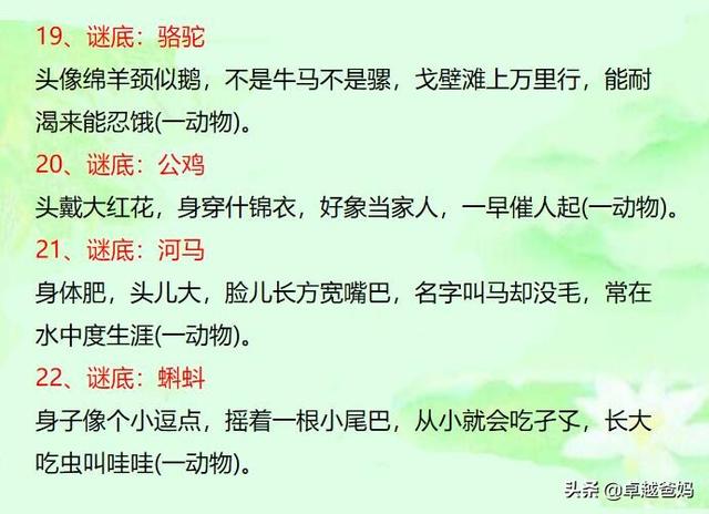 谜语与急转弯，智慧碰撞的趣味盛宴