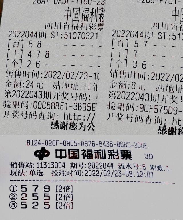 3D试机号31期今日揭晓，数字背后的奥秘与彩民期待