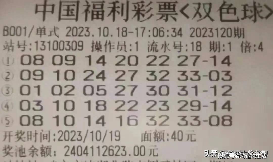 双色球历史081期同期，回顾与解析