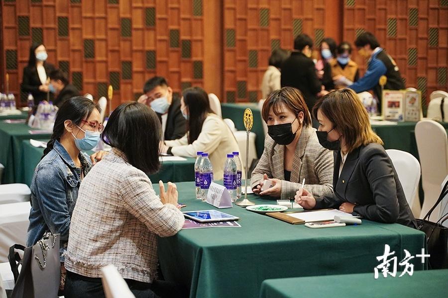 澳门好博，探索世界级会展的魅力与机遇澳门好博吧