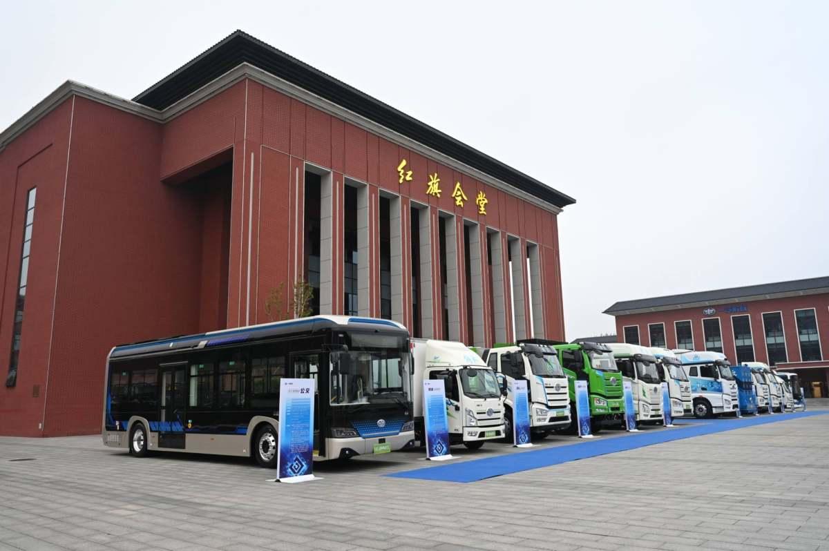 2035年，迈向知识共享新纪元—正版资料免费大全的未来展望2025年正版资料免费大全视频