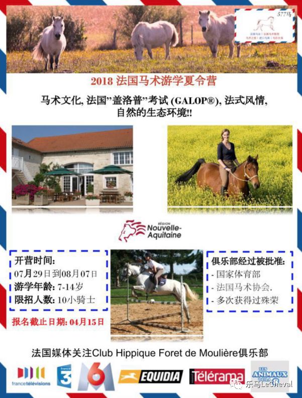 探索特马，神秘色彩与无限可能的交汇特马今晚开奖号码查询