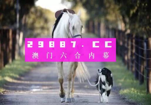 澳门图库49码开奖结果，揭秘背后的真相与理性看待正版49图库