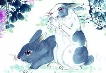 澳门三肖兔羊蛇，今晚的神秘预测与文化解读今天晚上澳门三肖兔羊蛇企业传承书