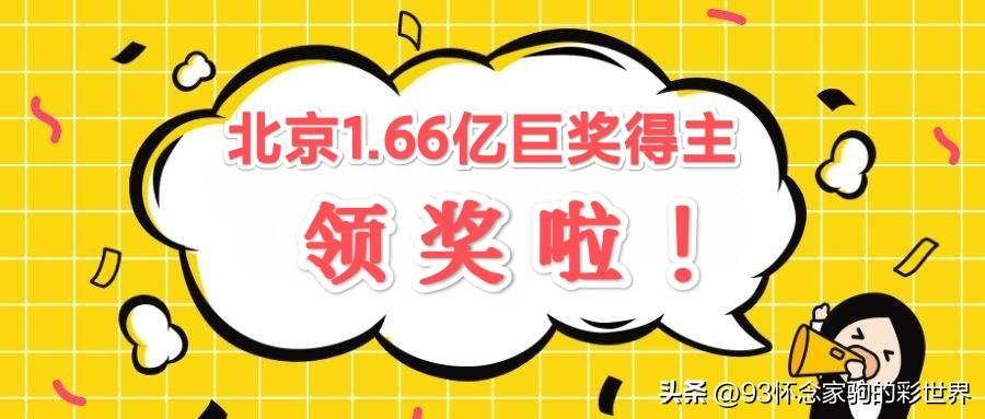 2019年香港开奖记录，透视年度彩票市场的风云变幻香港2019全年开奖记结果