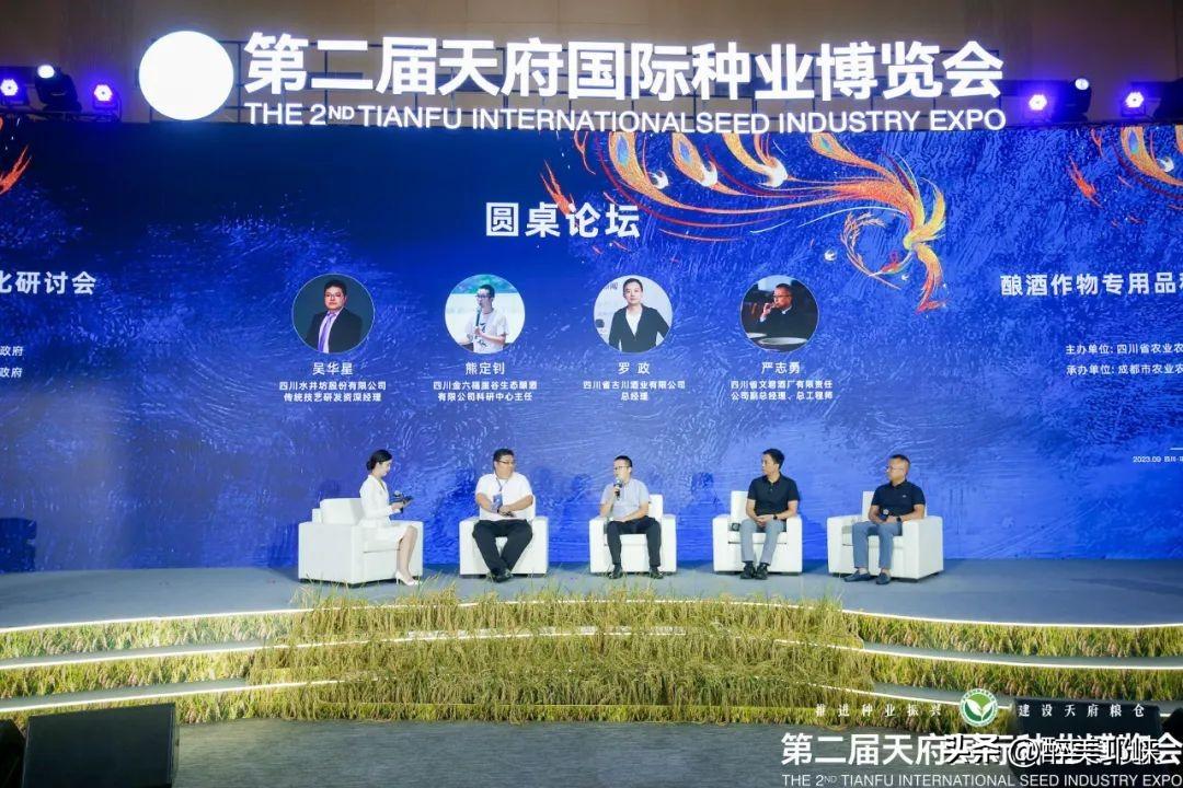 探索金六福心水论坛，解锁财富与智慧的双重密码金六福权威论坛j