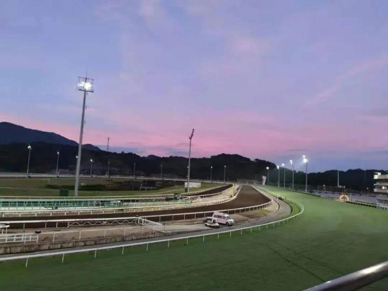 香港马会2019资料大全，全面解析与深度解读香港2021年马会资料大全
