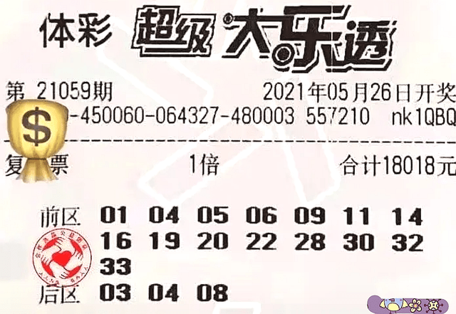 今日特马，揭秘数字背后的幸运与希望今天出的特马是几号