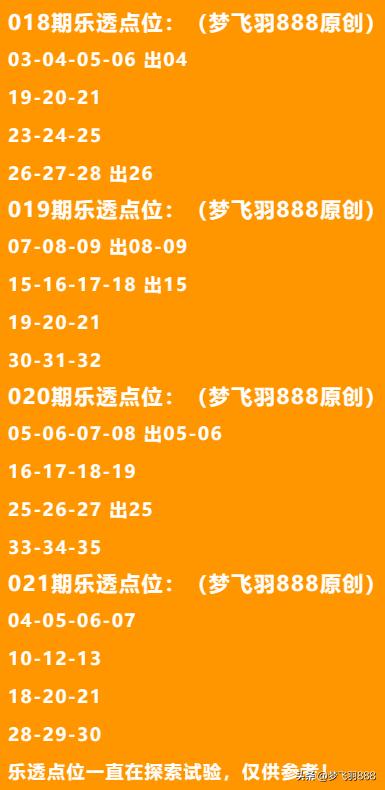 揭秘二四六天天玄机资料308，一场数字背后的奇幻之旅二四六天天玄机资料308k文字资料