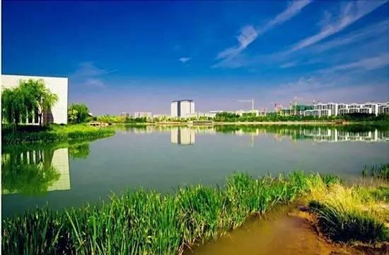 探索C527，一个在线学习与交流的数字乐园