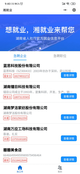 2043年今晚开奖结果查询，探索数字与幸运的交汇点澳彩开奖结果2024年今晚开奖结果查询