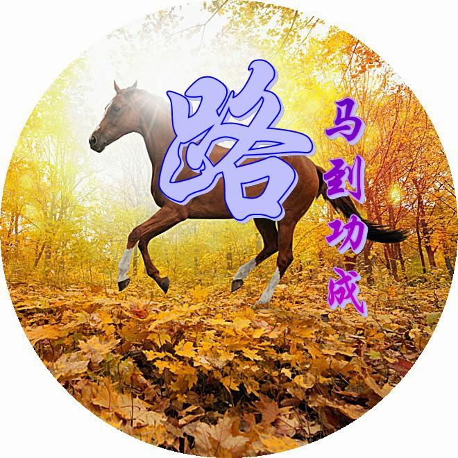 123免费彩图库，探索创意与艺术的宝藏118彩图图库免费注册方法