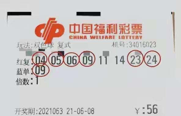 2038年六给彩