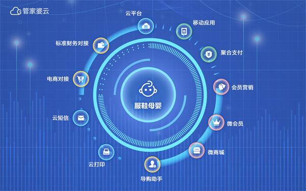 正版管家婆软件