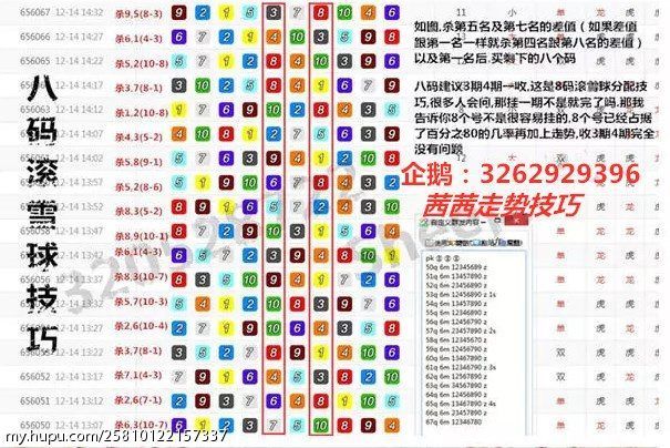 揭秘一肖三码，数字时代的幸运密码？一肖三码精准内部资料