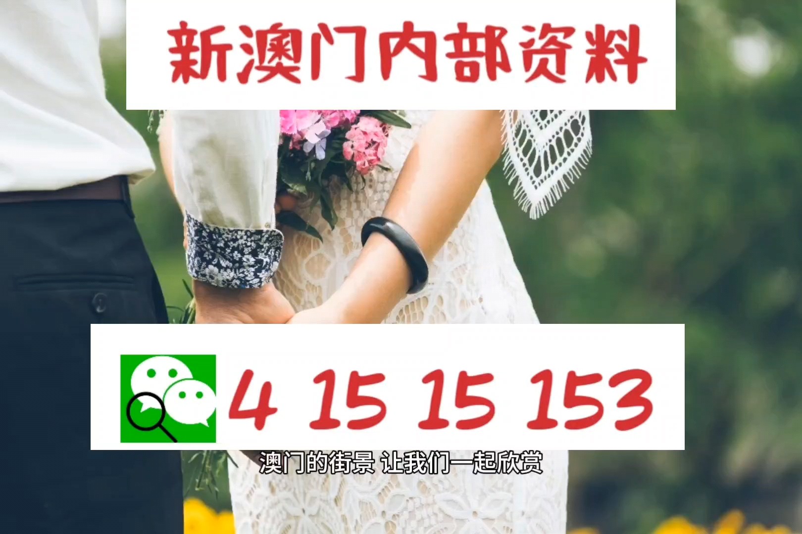204澳门正版精准资料，揭秘未来趋势与机遇2025年正版资料免费大全