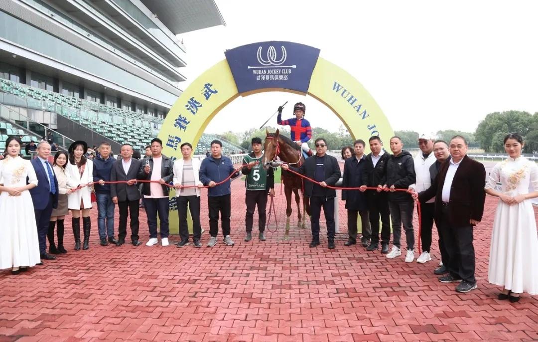 探索香港全年资料马会大全，赛马的激情与文化的交融香港2021年马会资料大全