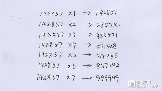 探索二肖3码的奥秘，数字背后的智慧与策略二肖3码今天的资料