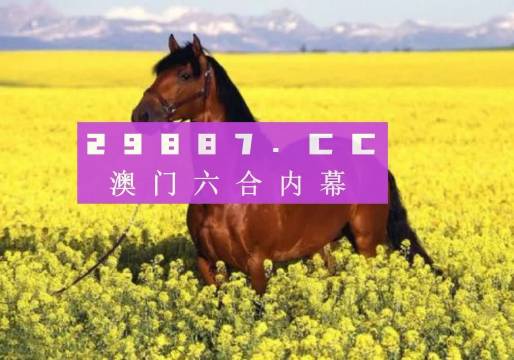 2035年澳门全年资料免费大全，探索未来之城的全面指南2023澳门全年资料免费大全246
