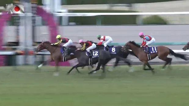 探索香港马会免费开奖资料，透明、公正与公益的完美结合